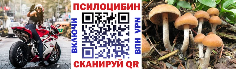 Псилоцибиновые грибы мицелий  закладки  Благовещенск 